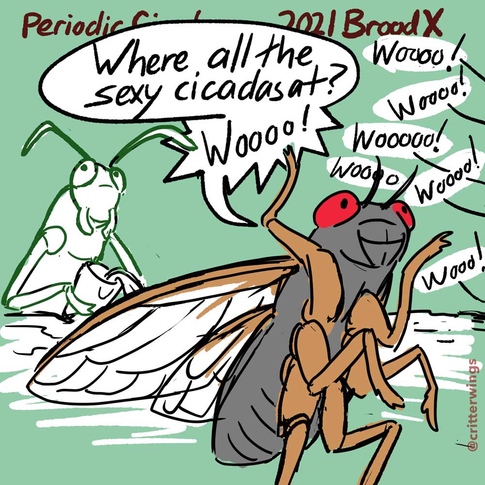 Sketchbook: Cicada Comics