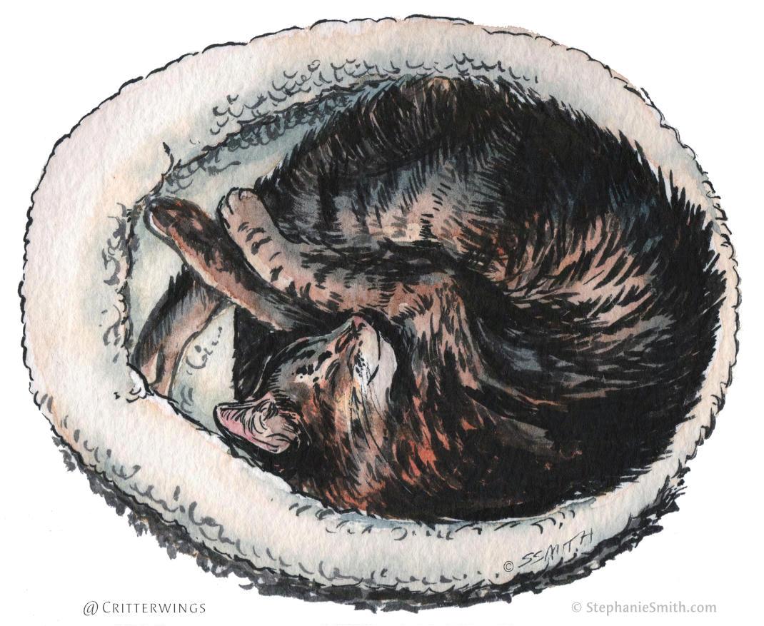 Ink and watercolor painting of a tabby cat curled up in a cat bed