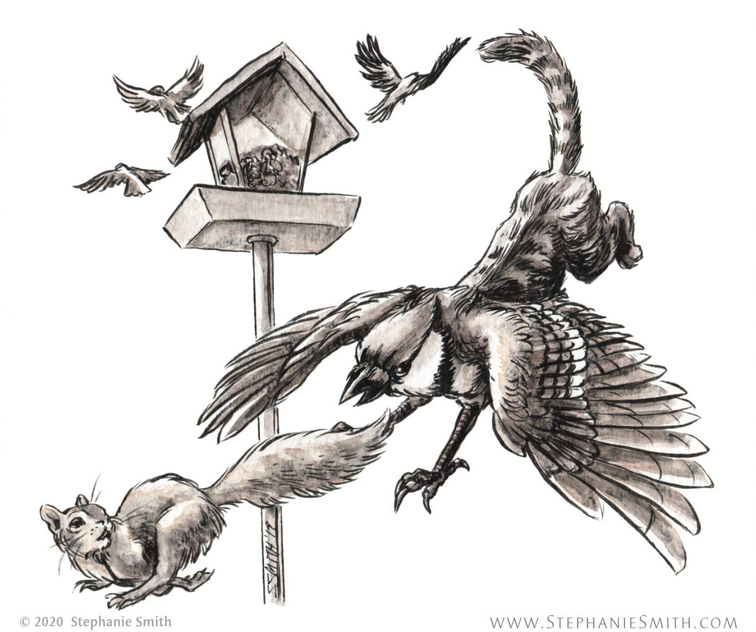 A drawing of a cat-blue jay hybrid griffin chasing a squirrel from a birdfeeder.
