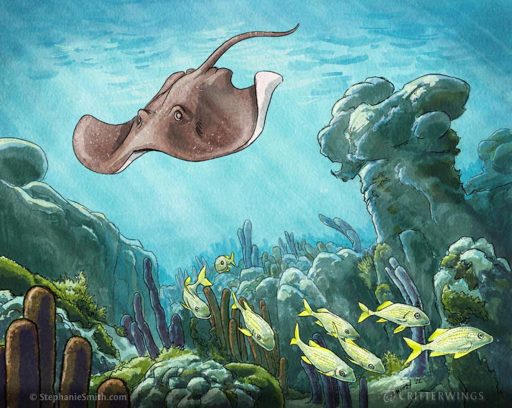 Painting of an underwater reef, with a ray and fish swimming among coral