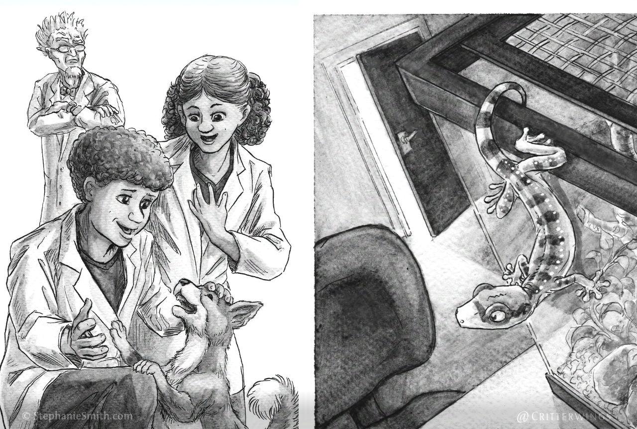 Two artworks, both in ink and gray watercolor. On the left a boy and girl in lab coats are happliy greeting a small dog with pointy ears and a curly tail, while a grumpy older man in a lab coat glares at them from the background. On the right, in a darkened room a gecko crawls out of a tererrium that has its lid ajar, and is eyeing the light coming in from the doorway. 